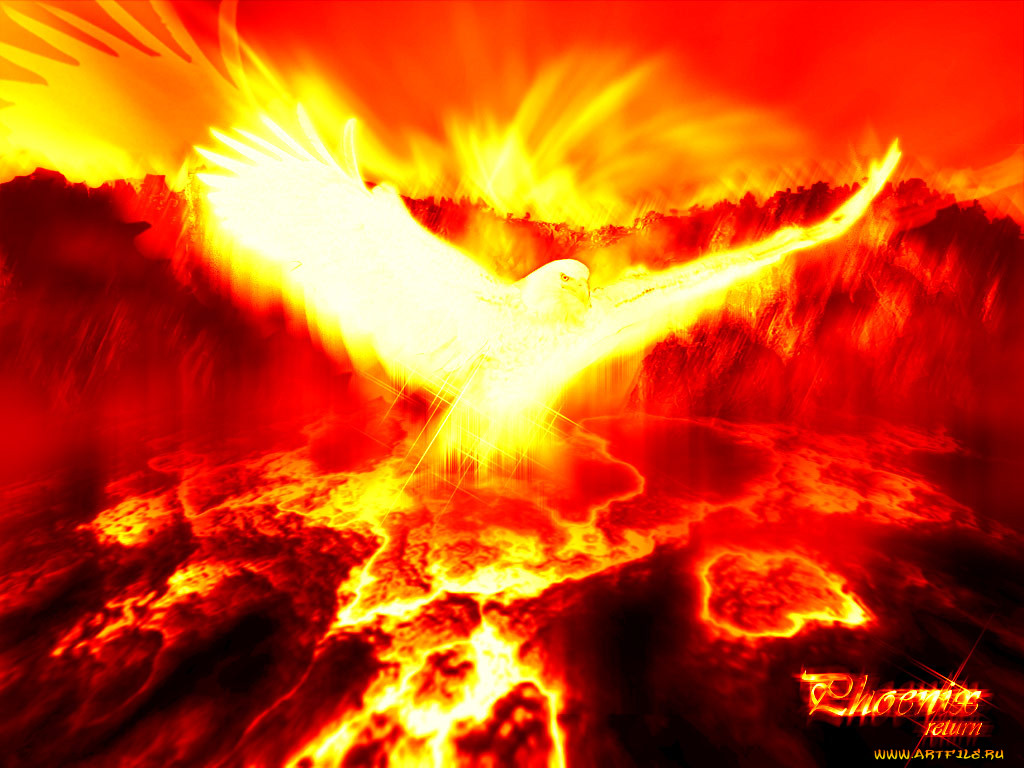 fenix, , , 